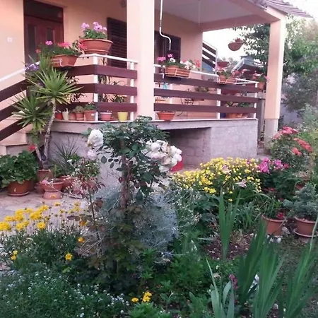 Apartment Dragica - With Nice View Zadar