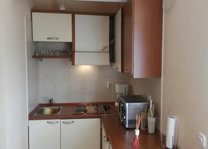 Apartment Dragica - With Nice View