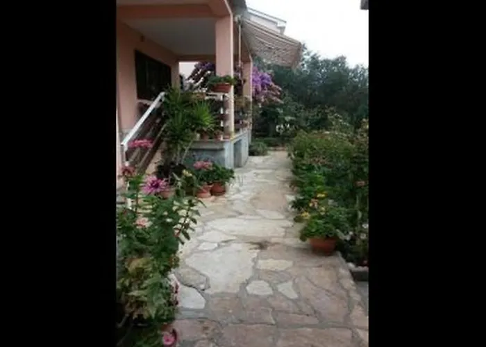 Dragica - With Nice View * 扎达尔